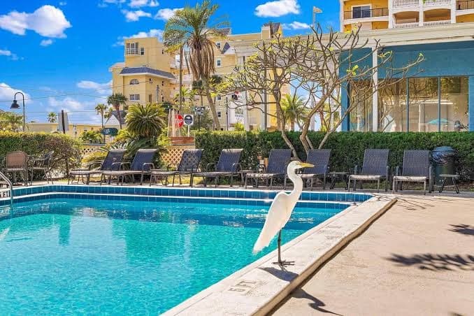 Malibu Resort Motel, Motel in North Redington Beach