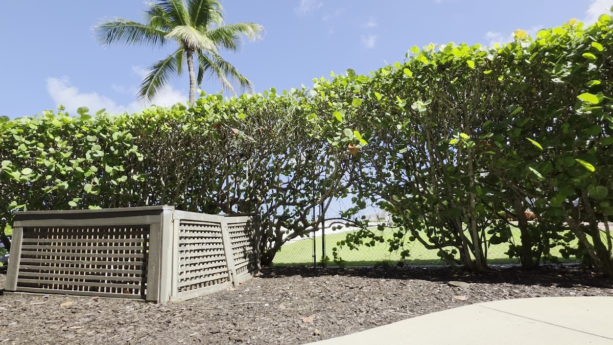 Eagle's Nest Beach Resort, a Hilton Grand Vacations Club, Resort in Marco Island