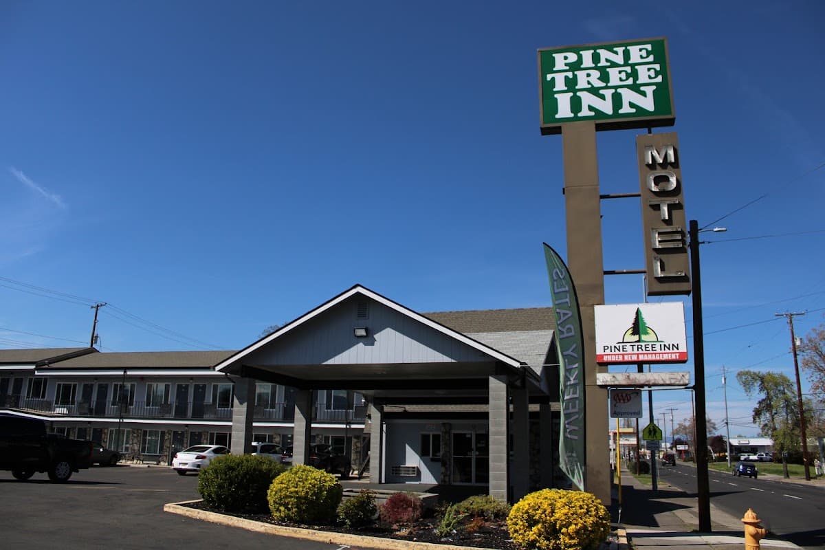 Pine Tree Inn, Motel in Medford