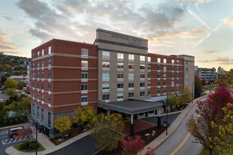 SpringHill Suites by Marriott Pittsburgh Southside Works, Hotel in Mount Oliver