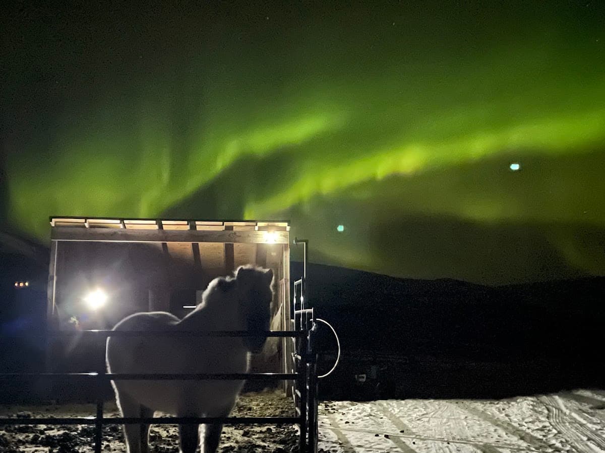 Golden Sands Stables & Lodging, LLC, Hotel in Nome