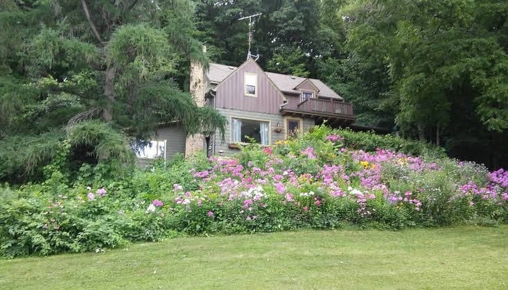 Contented Cottage B&B, Bed & Breakfast in Northfield
