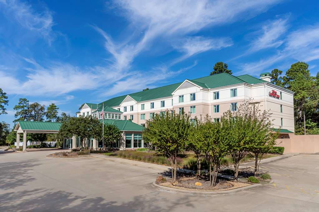 Hilton Garden Inn Houston/The Woodlands, Hotel in Oak Ridge North