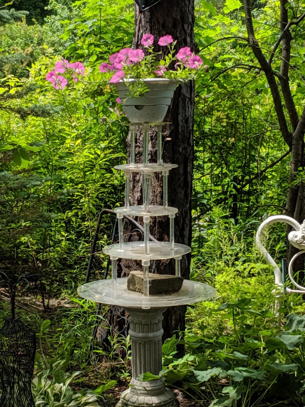 1830 Hallauer House Bed & Breakfast LLC, Hotel in Oberlin