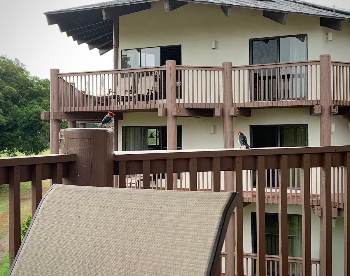 Ka eo kai hotel, Hotel in Princeville