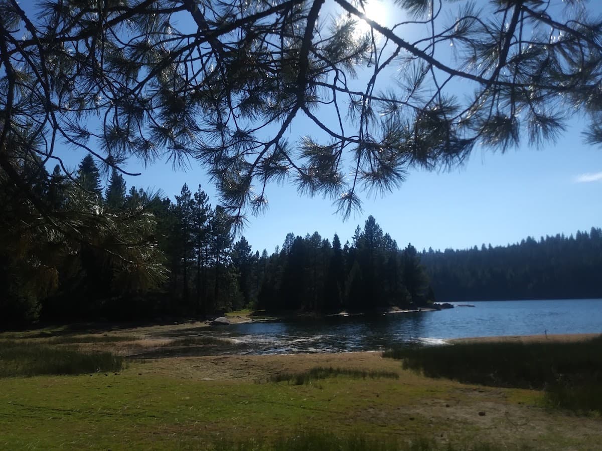 El Camino Mobile Home & RV Park, Caravan Park in Arden-Arcade