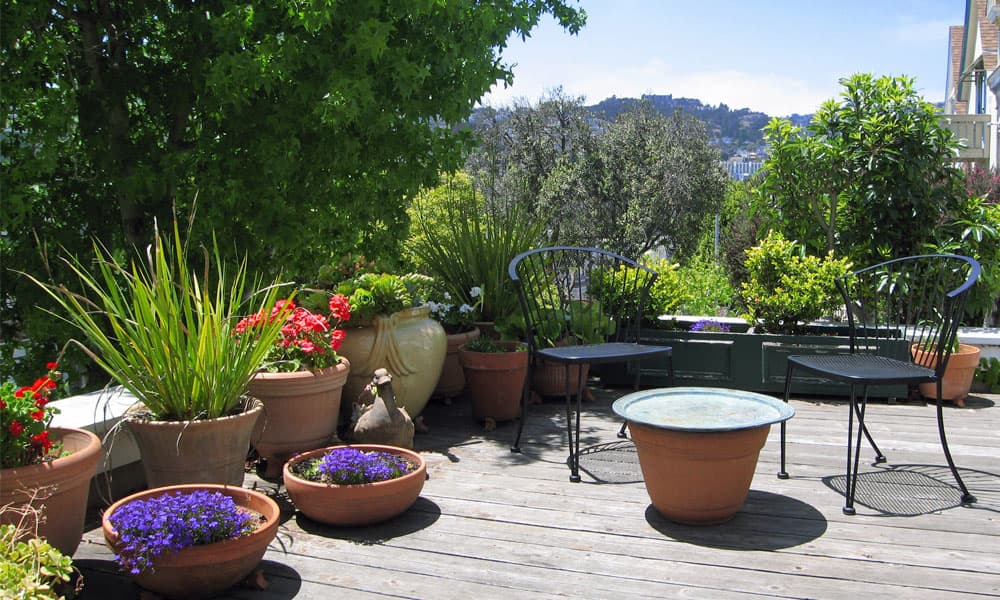 Dolores Place, Bed & Breakfast in Noe Valley