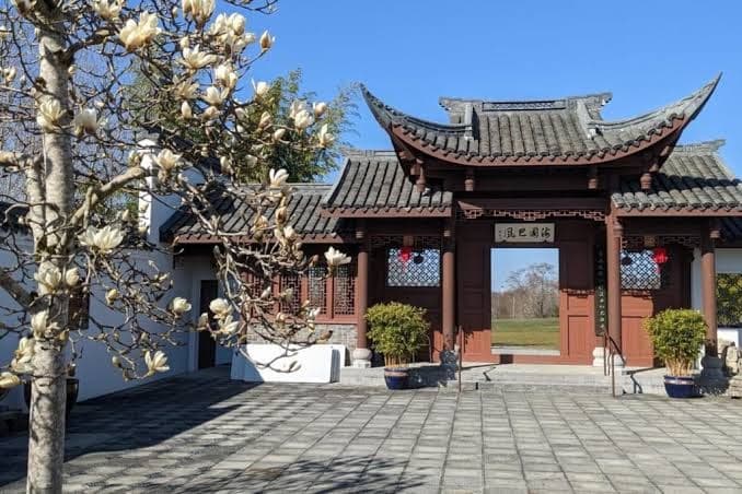 High Point Guesthouse - Next to Seattle Chinese Garden - Entire Place, Guesthouse in White Center