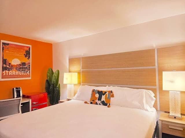 Boutique Hotel - King Room - Far Out Motel, Motel in Starkville