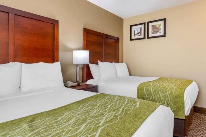 Manhattan View Hotel - Queen Room - Non-Smoking, Hotel in Long Island City