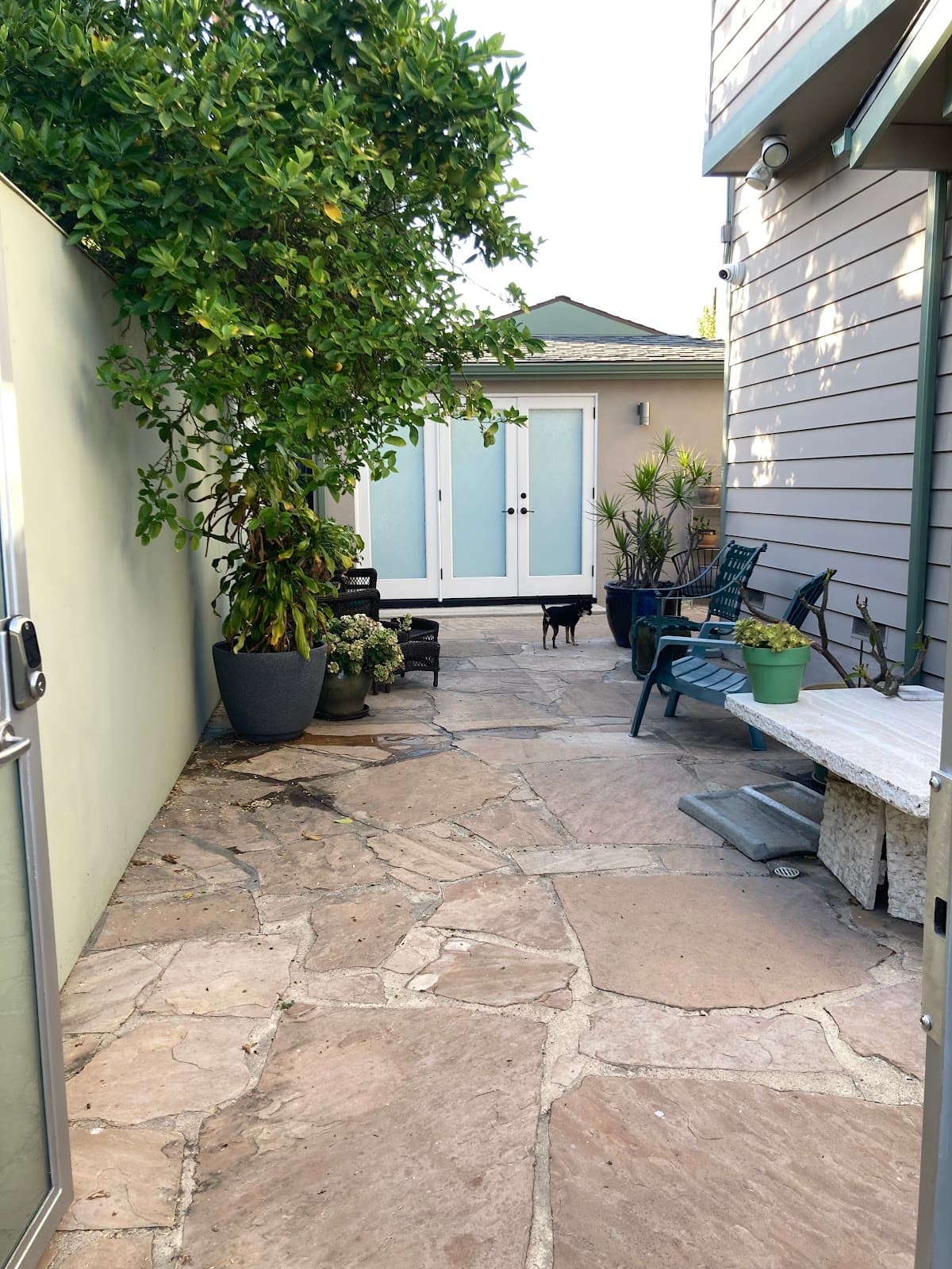 Venice Beach Cottage Retreat, Hotel in Venice
