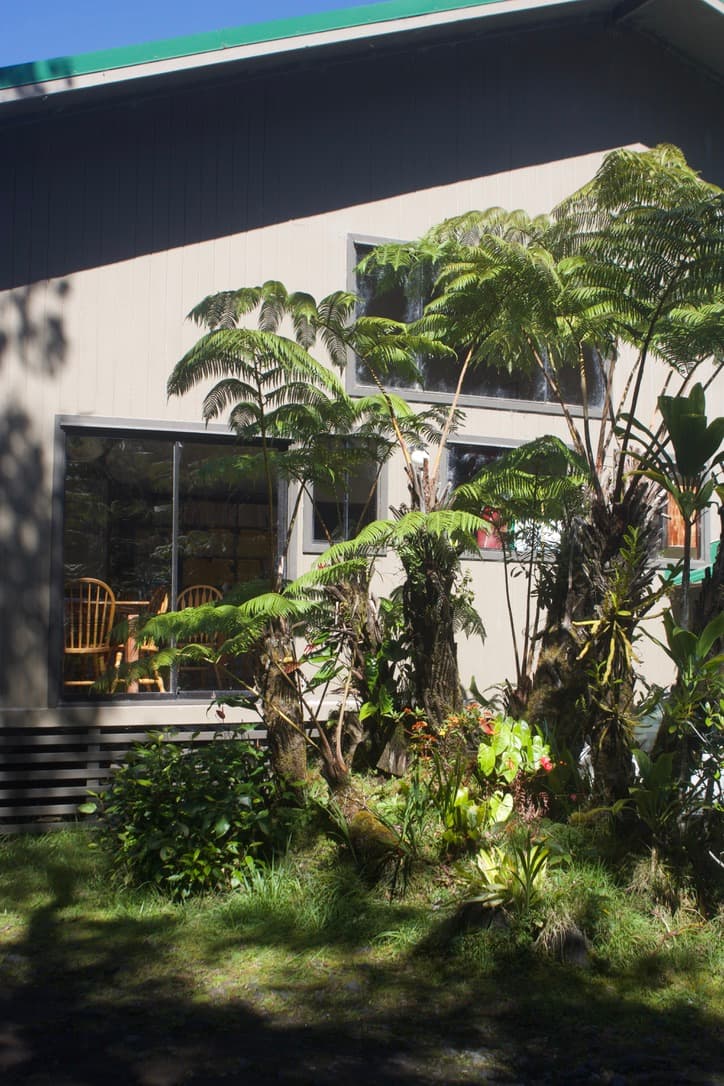 Holo Holo In, Hostel in Volcano