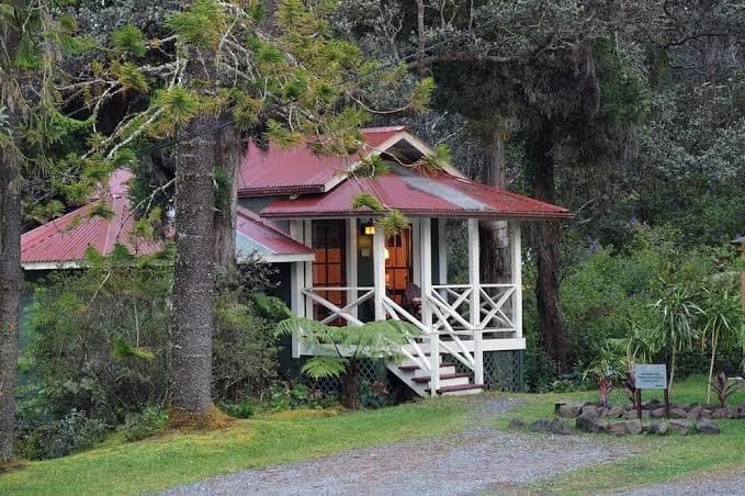 Private Cottage at Boutique Hotel in Volcano Village, Holiday Home in Volcano