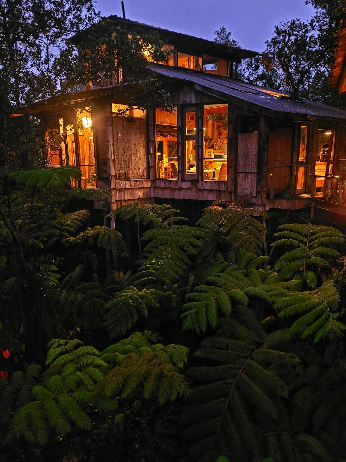 Volcano Treehouse, Skye Peterson, Holiday Home in Fern Forest