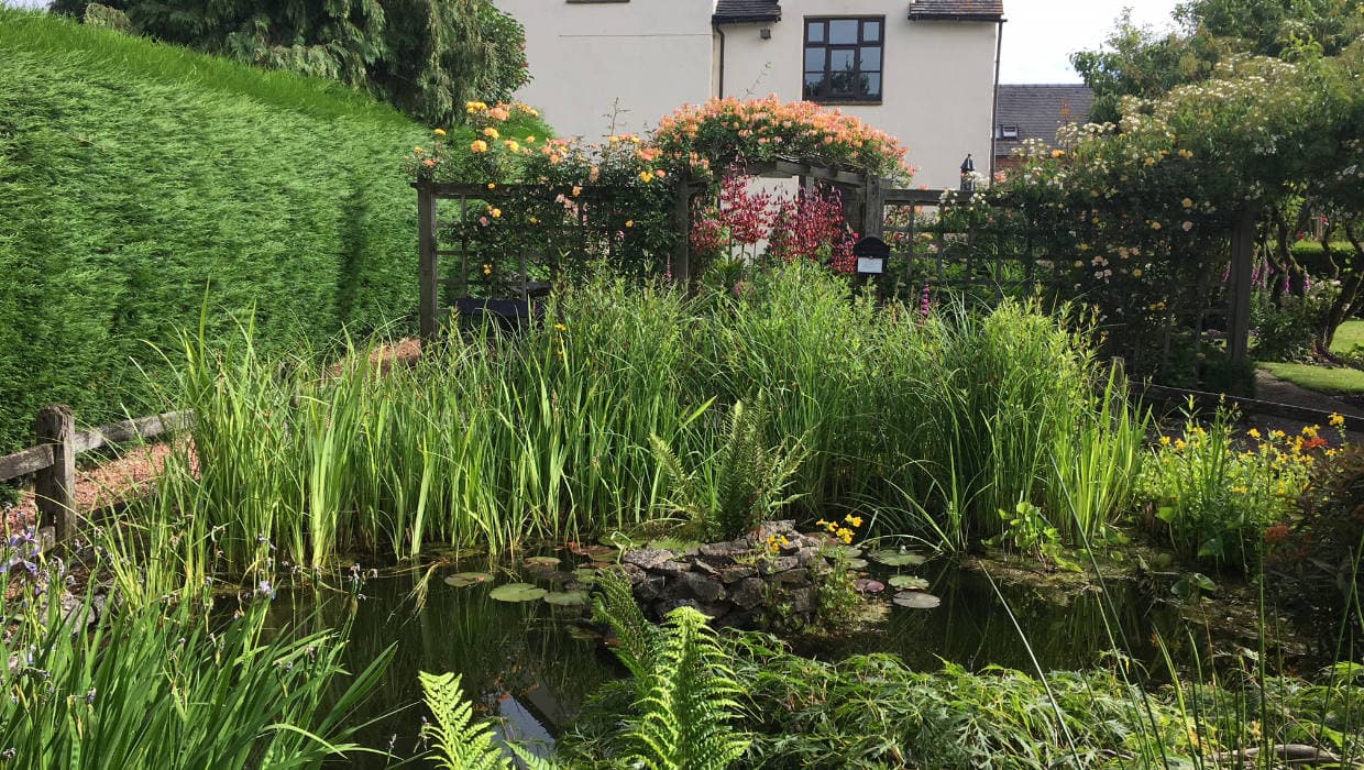 Marsh Farm B&B & Tea Room, Abbots Bromley