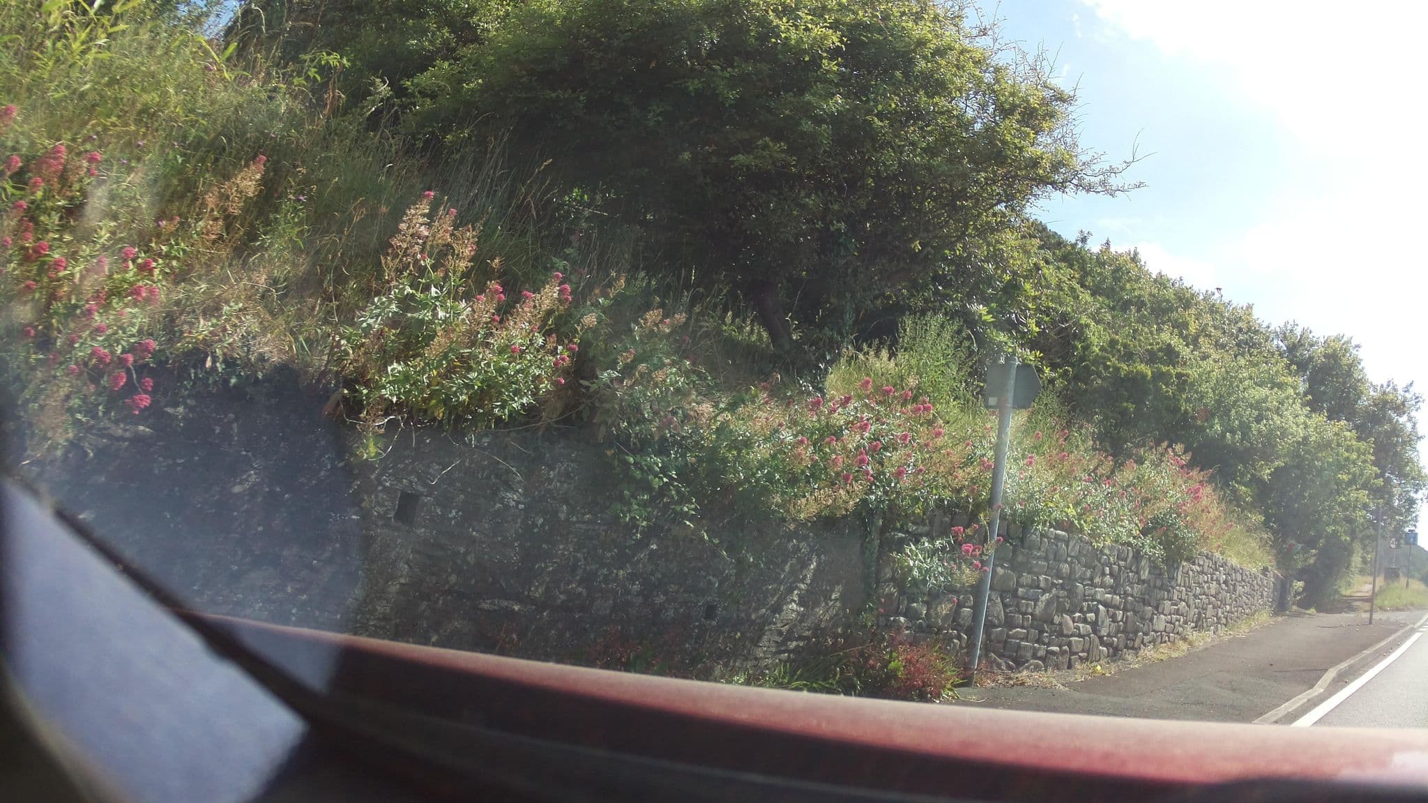 Street view near The Pod, Aberaeron — © southglos (CC BY-SA · Mapillary)