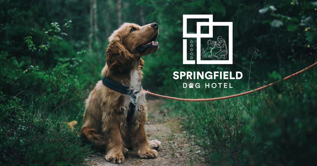 Springfield Dog Hotel, Blackwood