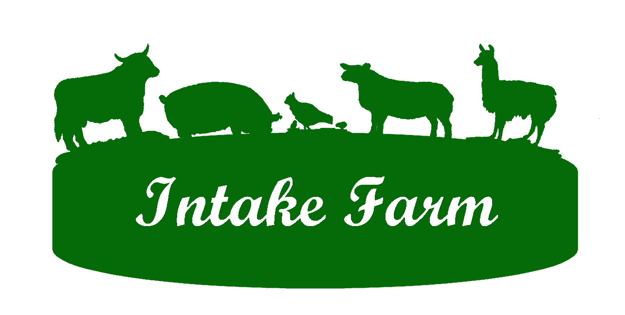 Intake Farm Campsite, Cheddleton