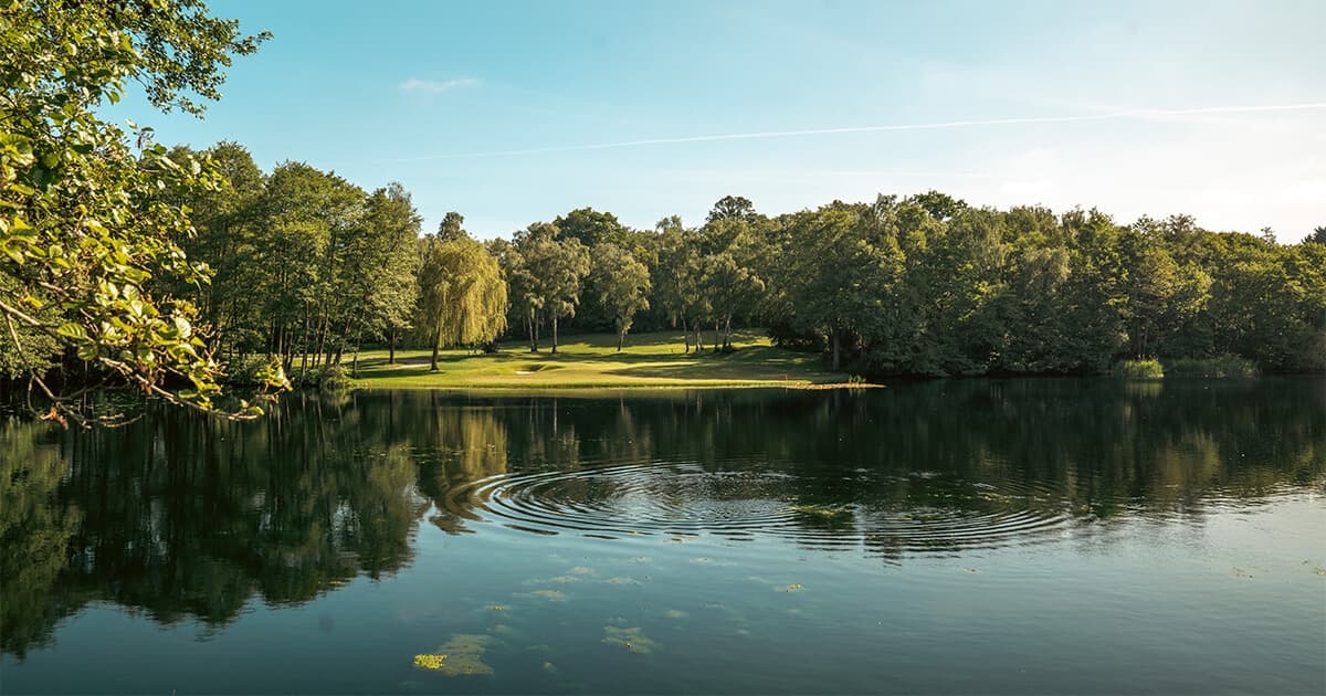 Silvermere Golf Course, Cobham
