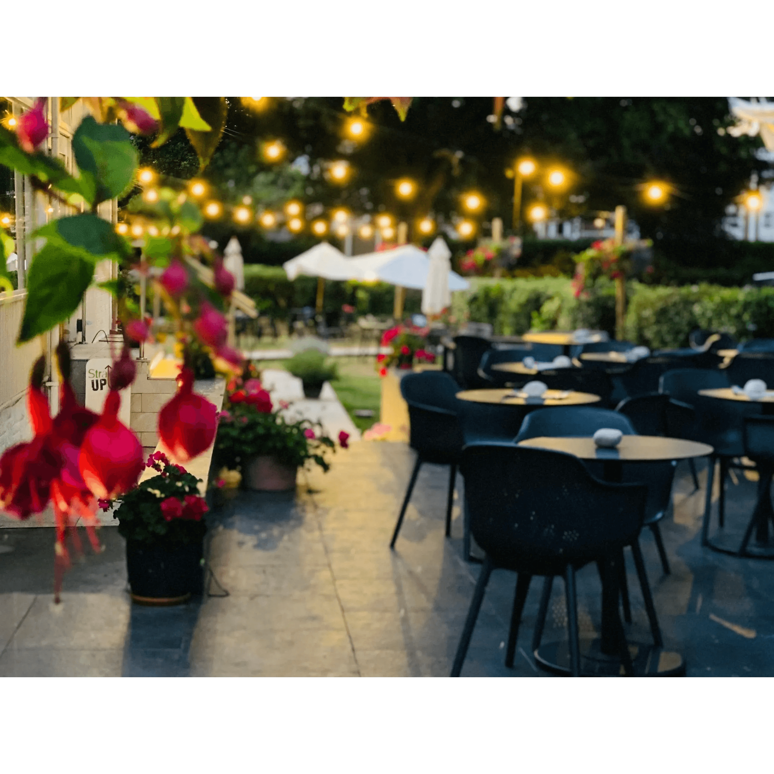 Anchorage Hotel, Torquay