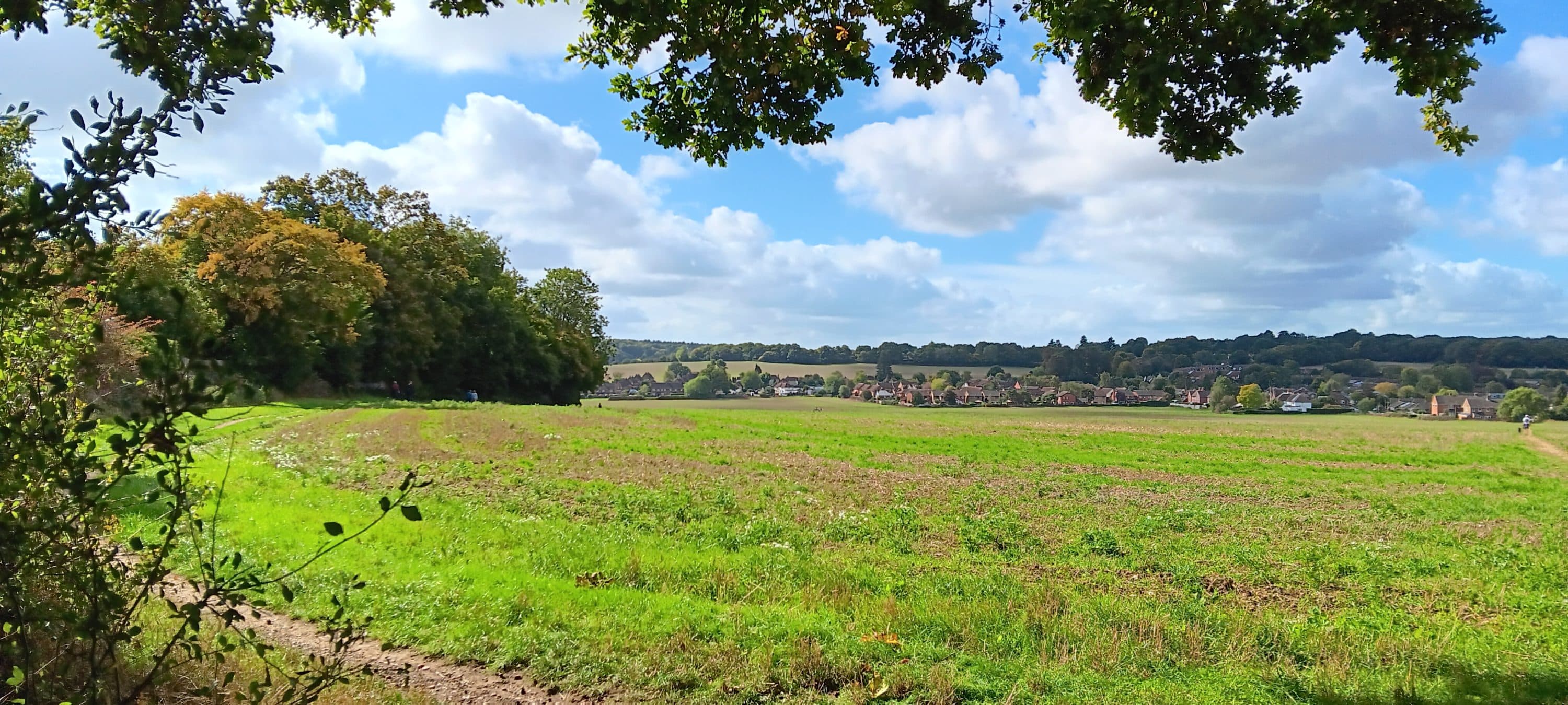 Woolmer Green Hall, Knebworth