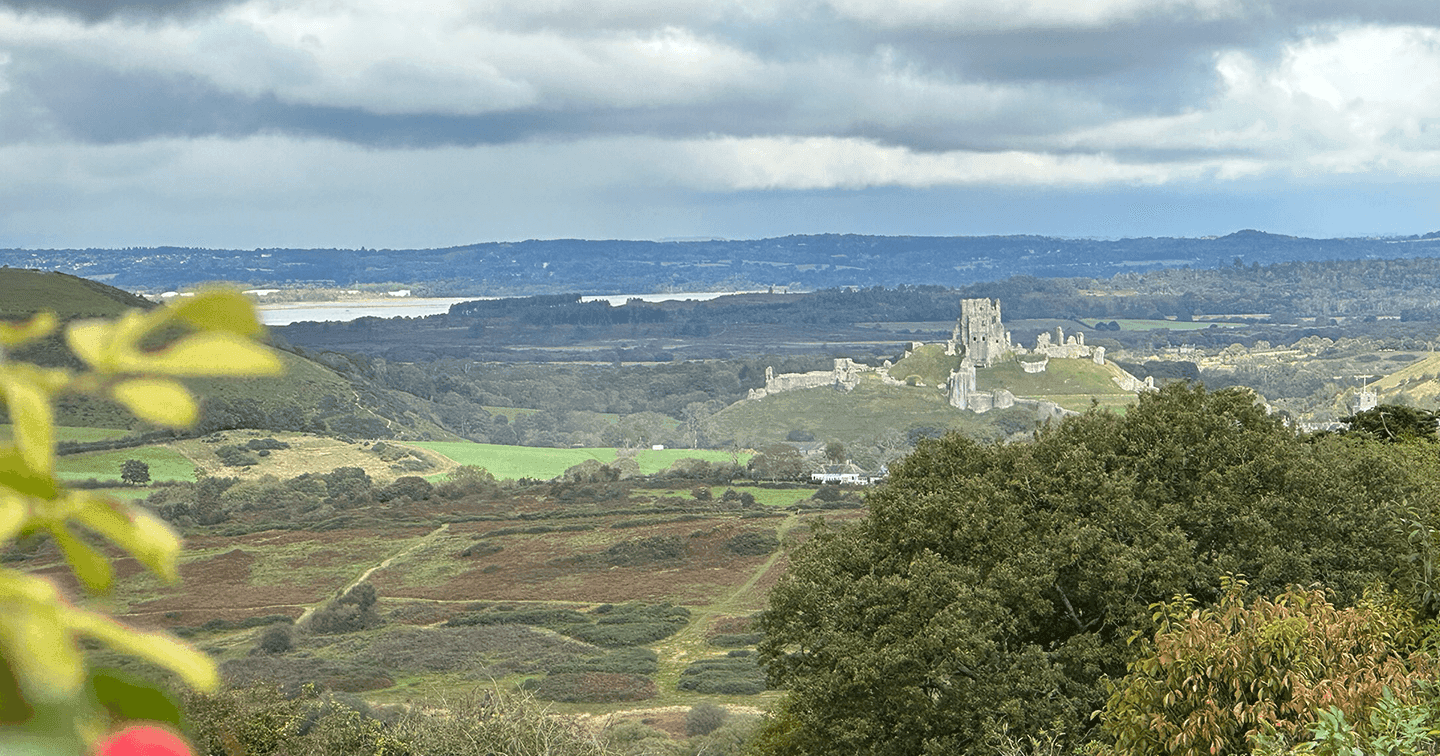 The Scott Arms, Corfe Castle