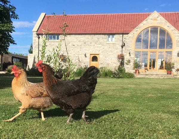 Granary Barn Countryside Accommodation, Langport