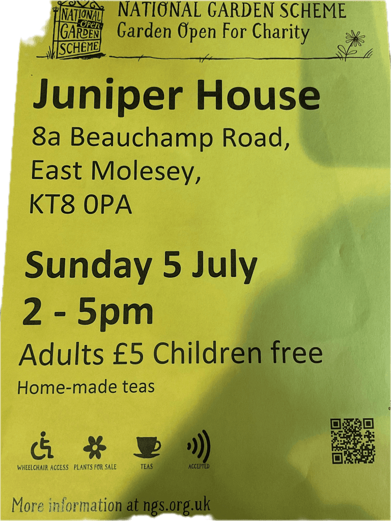 Juniper House B&B, East Molesey