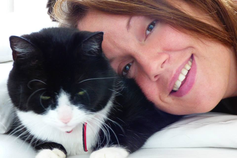 Katie's Luxury Cat Hotel, East Rainton