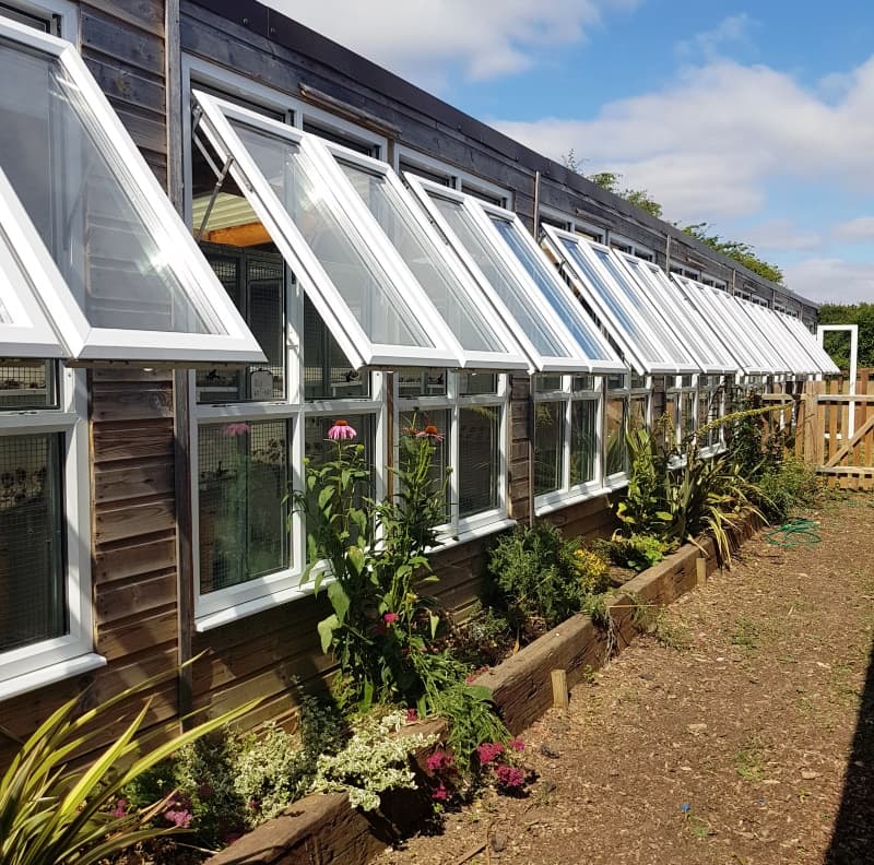 April Cottage Cattery, Lavenham