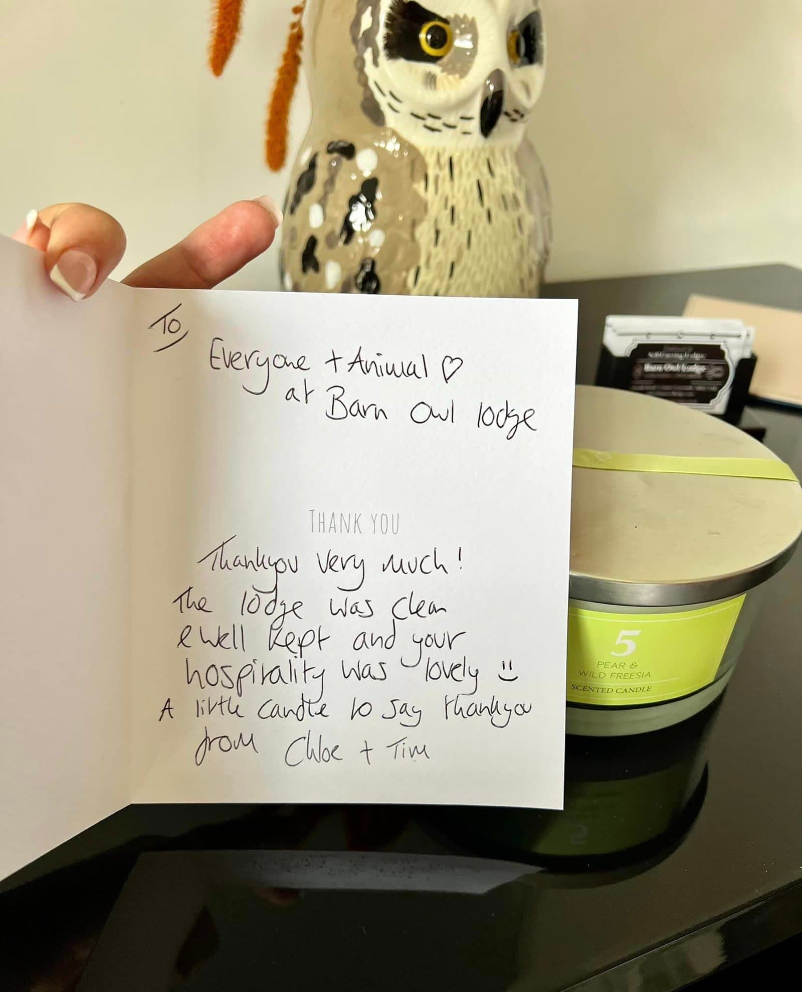 Barn Owl Lodge - Executive self-catering lodges, Hopton