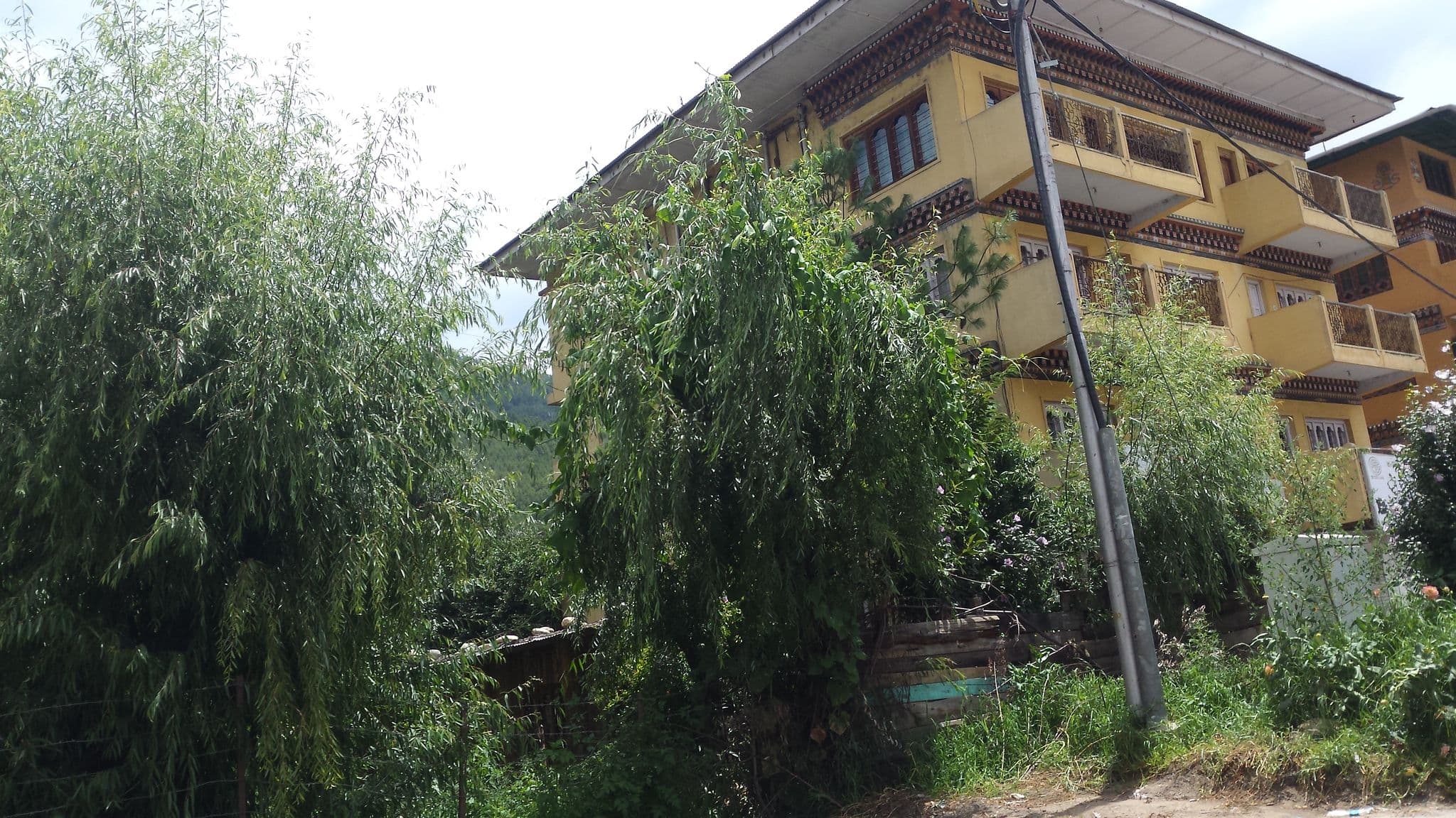 Street view near Hotel Sambhav, Thimphu