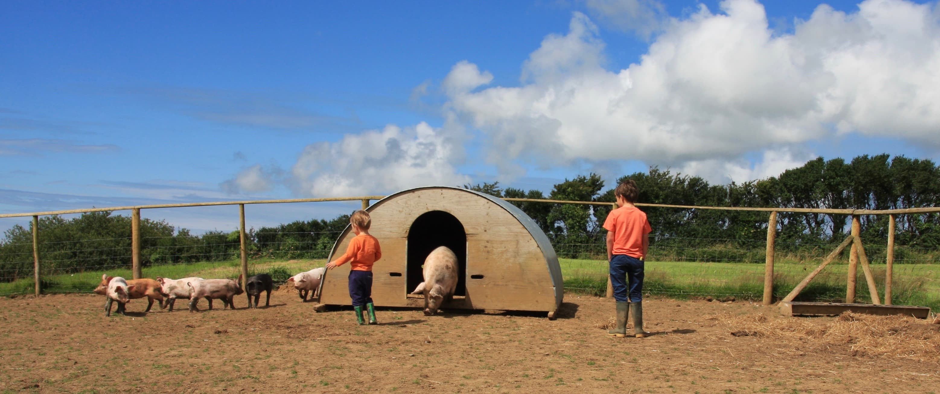 Bwlford Smallholding, Fishery, Caravanning and Holiday Accommodation, Johnston