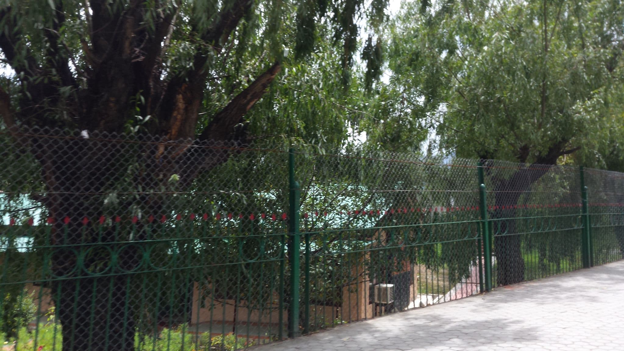 Street view near Karsang Building, Thimphu