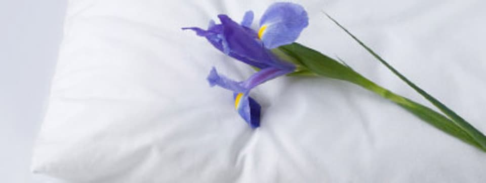 FLETCHER HOUSE Guest House Bed and Breakfast accommodation, Kirkby Stephen