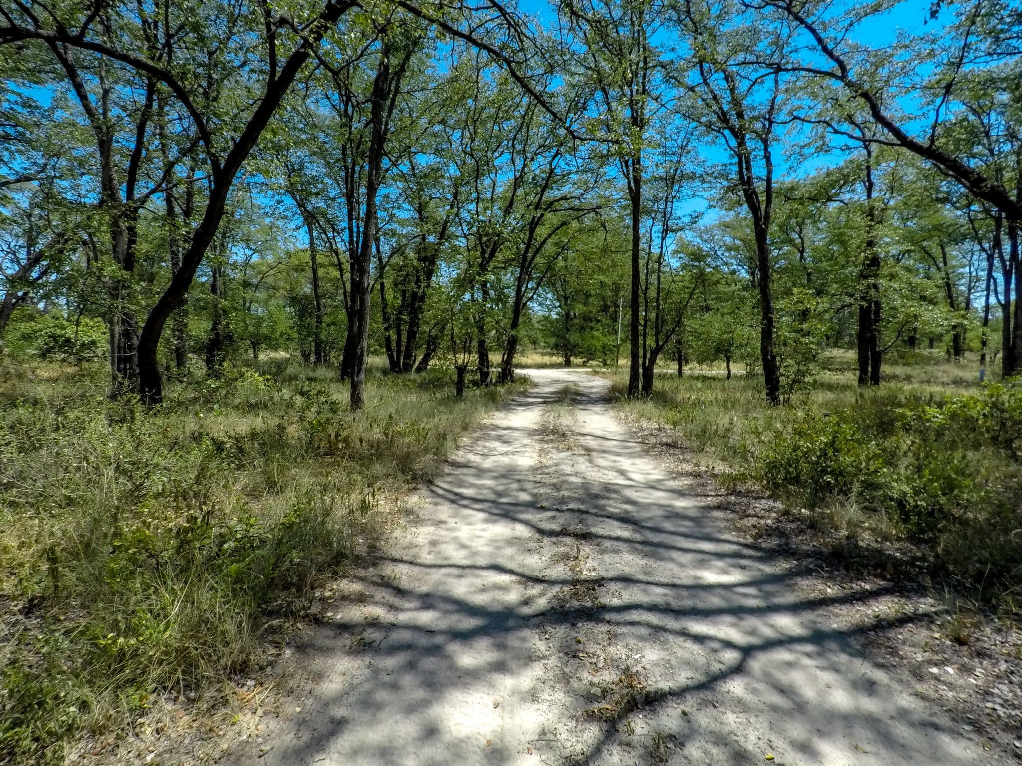 Street view near South Gate Campsite, Maun — © elphix (CC BY-SA · Mapillary)