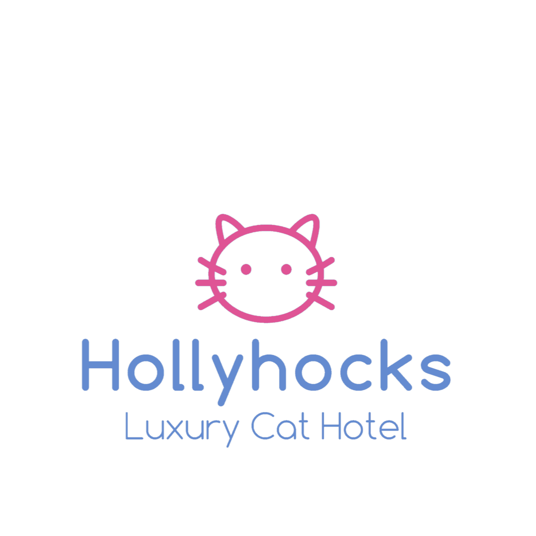 Hollyhocks Luxury Cat Hotel, Wimborne Minster
