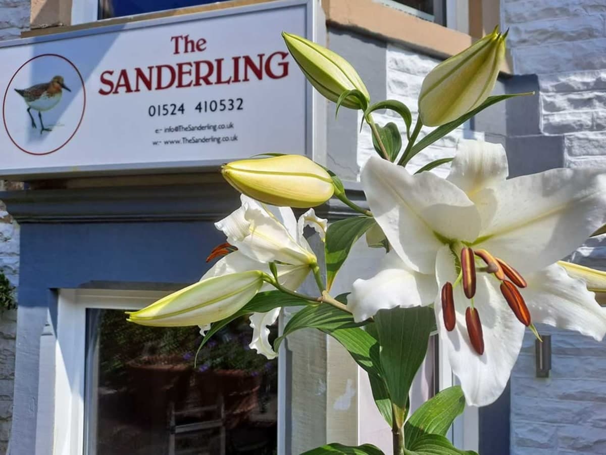 The Sanderling Hotel (Book Direct For Best Prices) As featured on Four In A Bed, Morecambe
