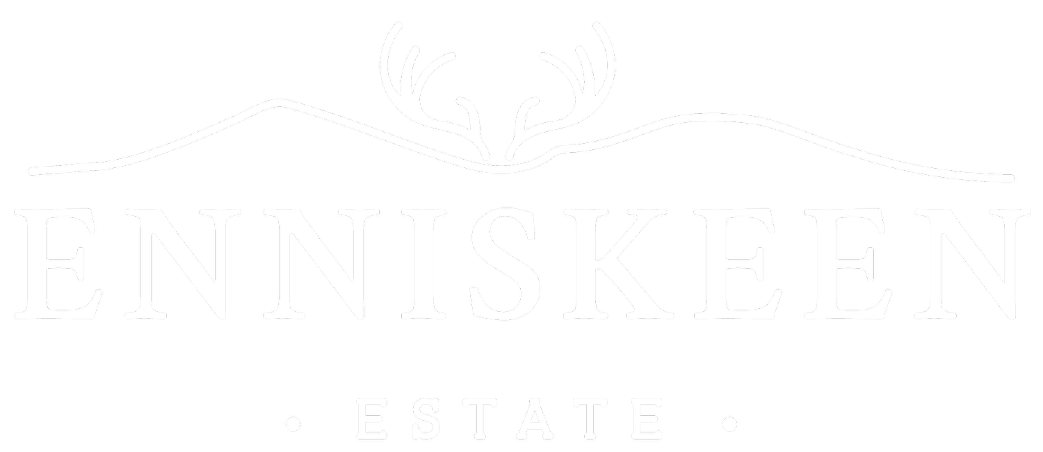 Enniskeen Estate - Forest Spa & Luxury Glamping Cabins, Newcastle