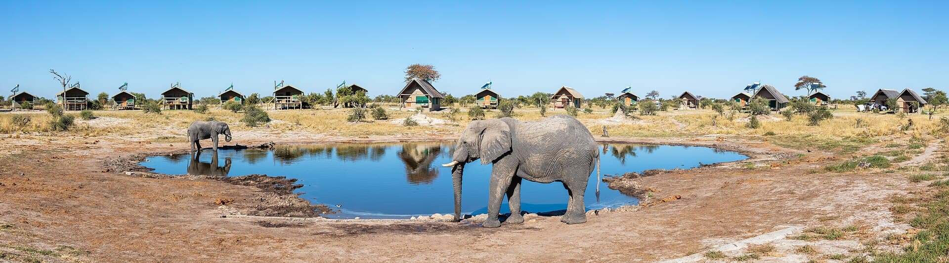 Elephant Sands Lodge (via Wikimedia Commons, CC BY-SA 4.0)