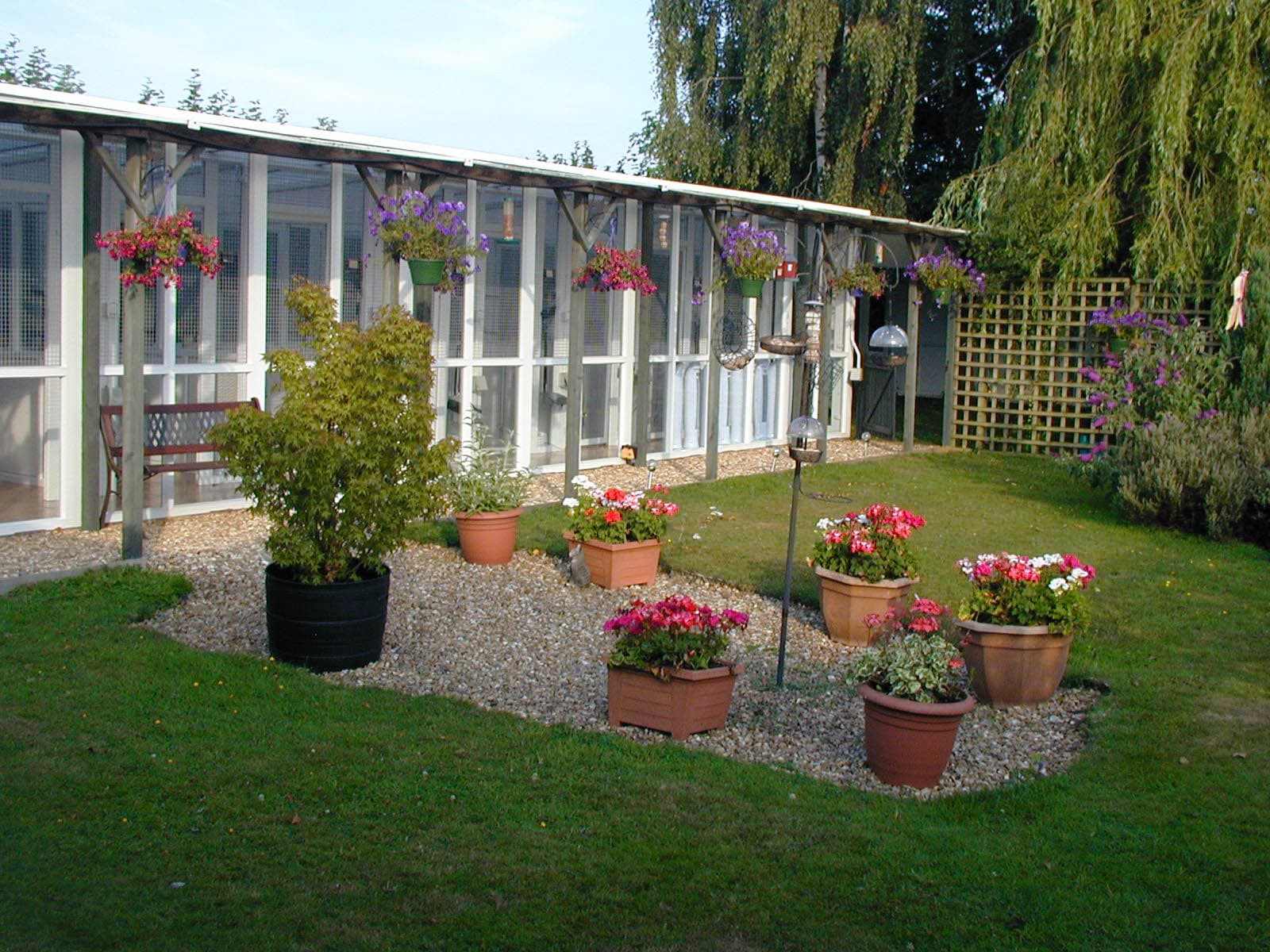 Fairmile Cat Hotel, Ottery St Mary