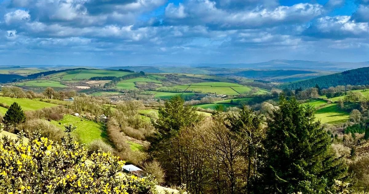 Cambrian Cottages, Pencader