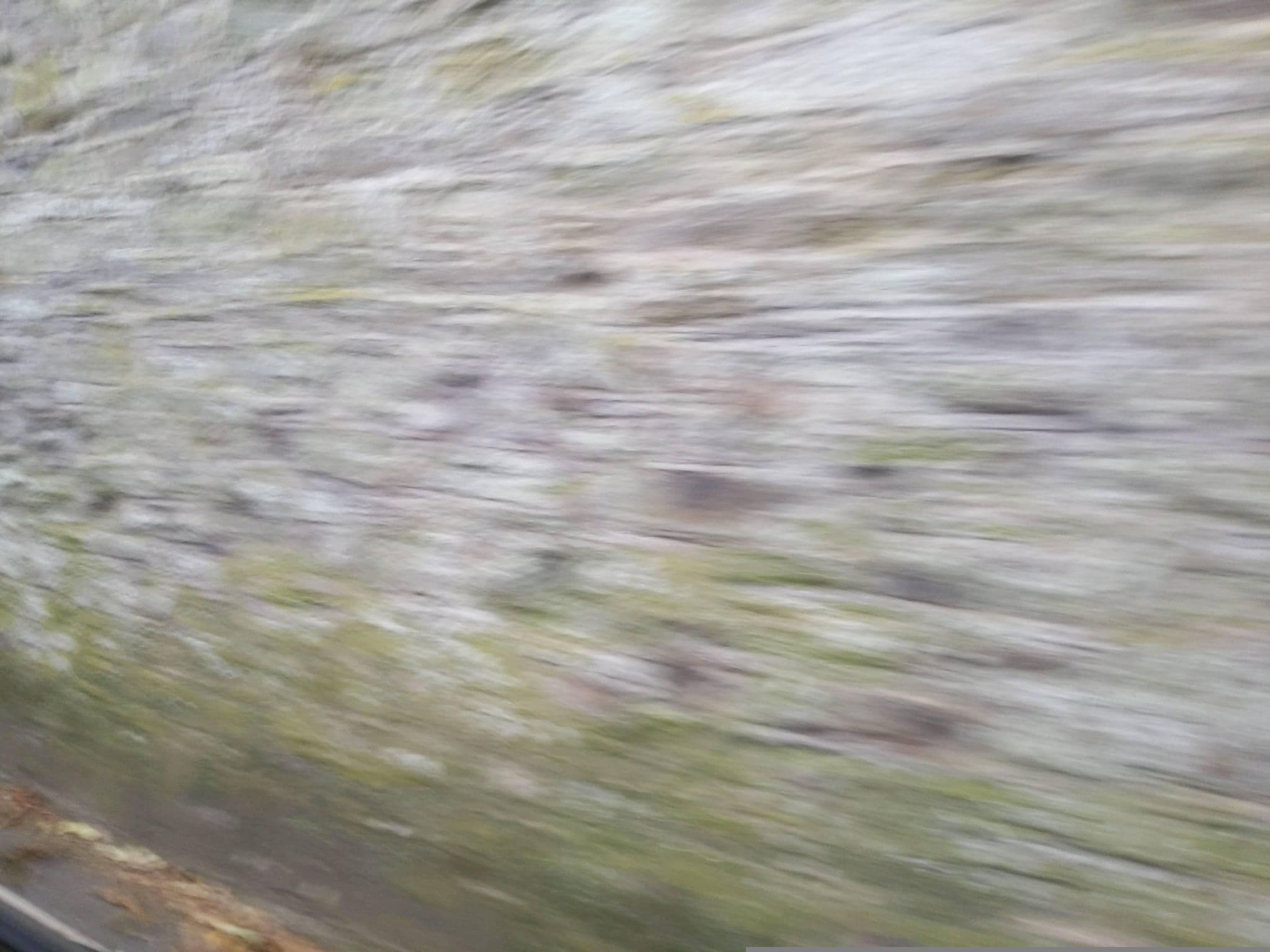 Street view near St Leonards - Entire Place, Salcombe — © WaggyDog (CC BY-SA · Mapillary)