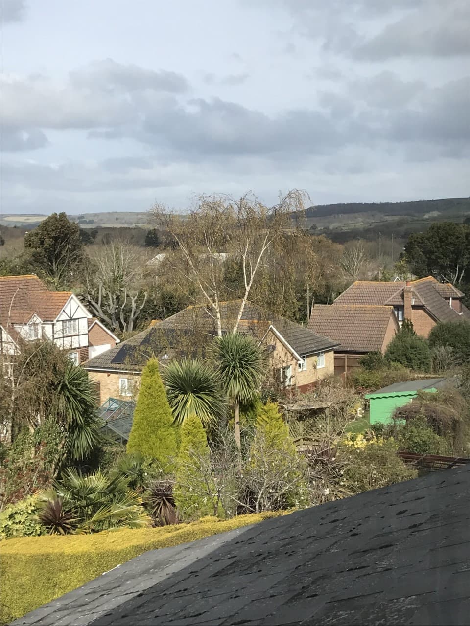 The Drey, Sandown