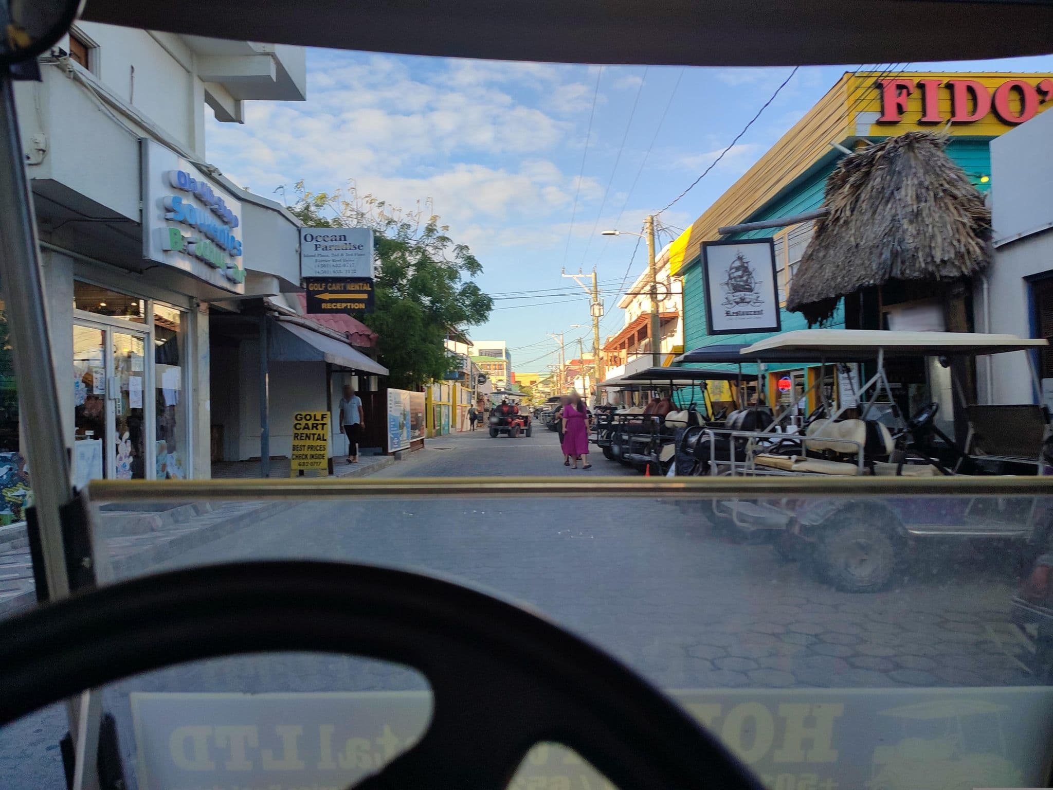 Street view near Hotel Ocean Paradise, San Pedro — © charlieplett (CC BY-SA · Mapillary)