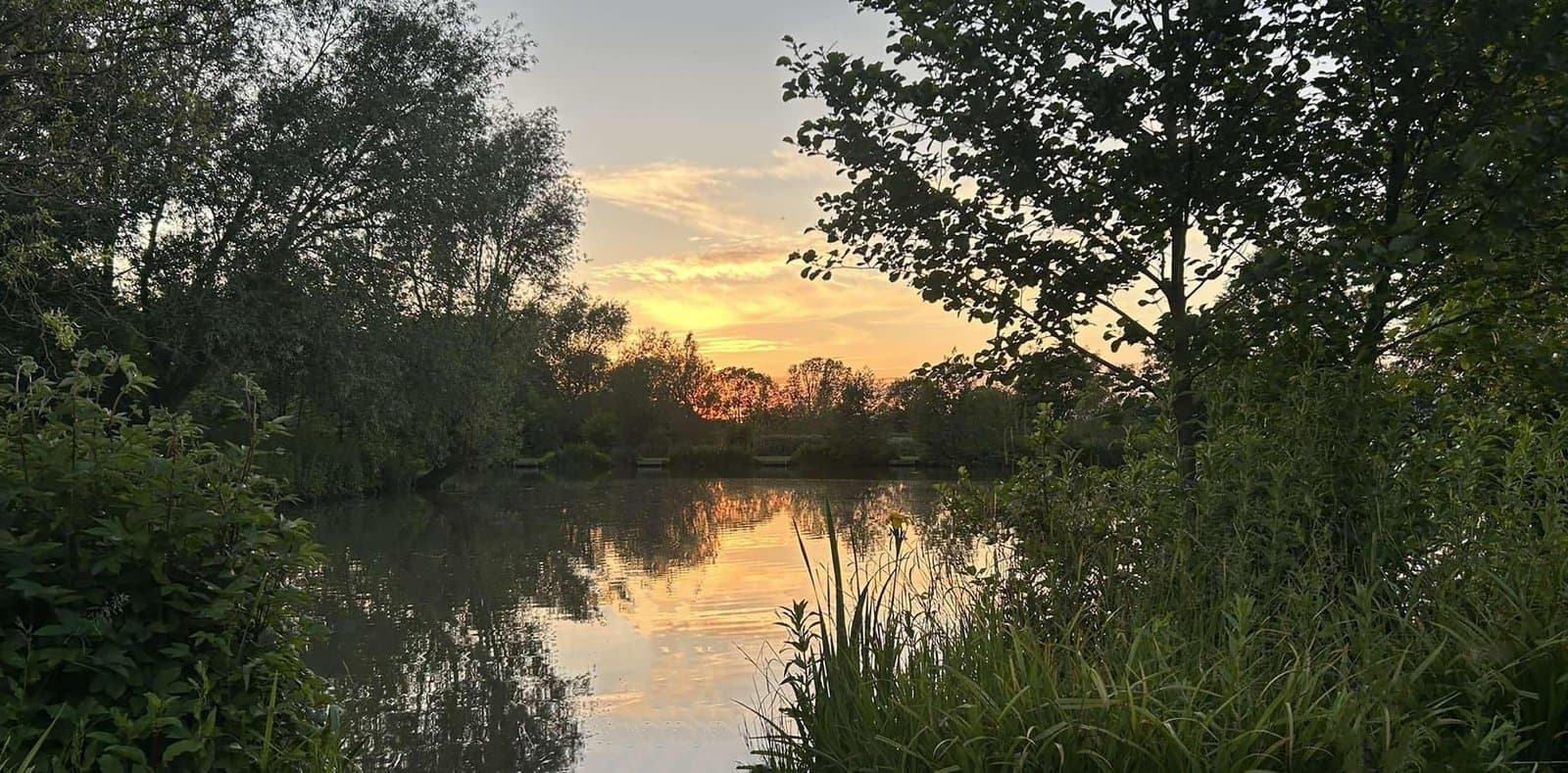 Woodlands Fishery, Spilsby