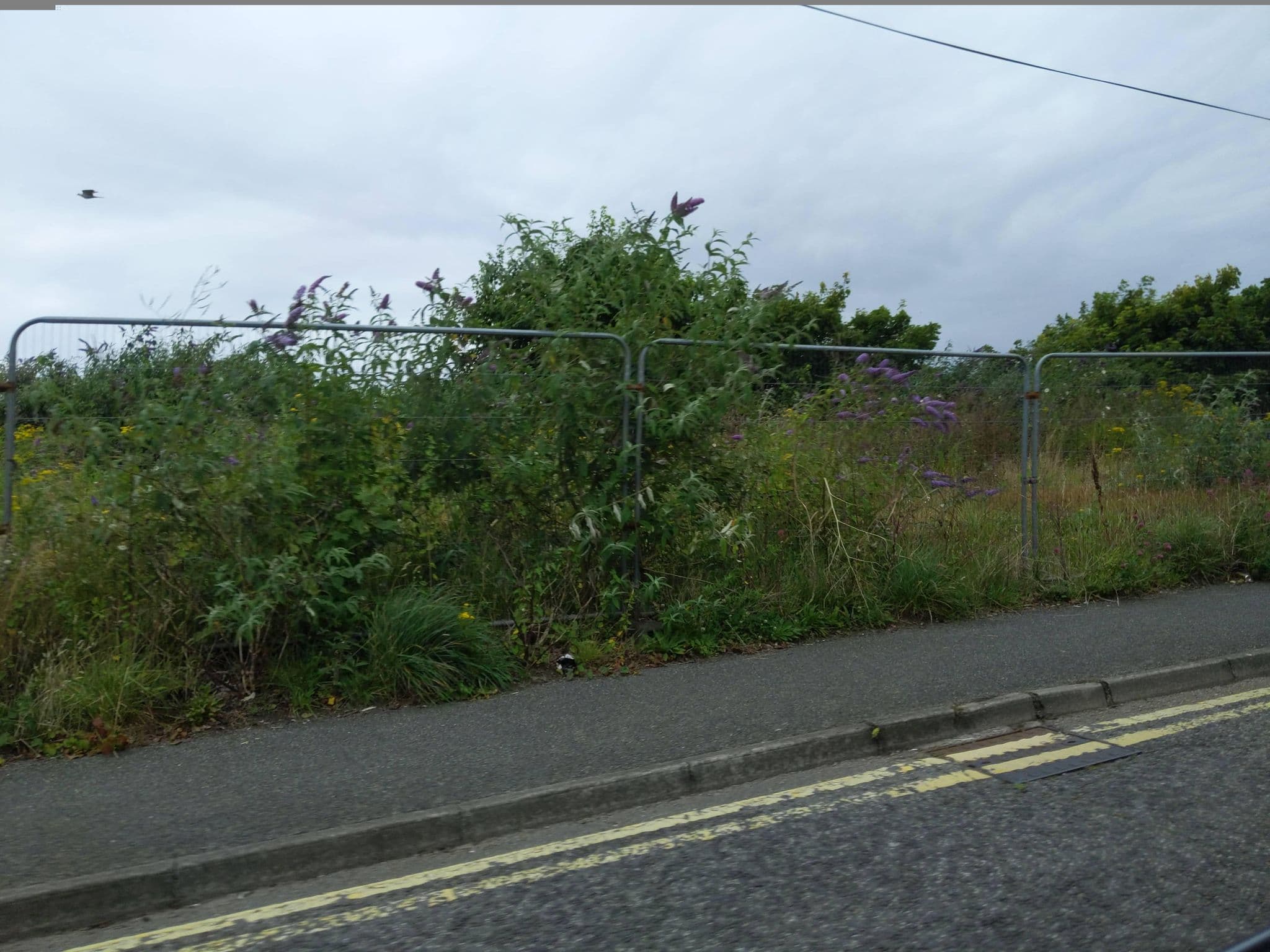 Street view near 1 Bed Cottage in St. Ives, St Ives — © WaggyDog (CC BY-SA · Mapillary)