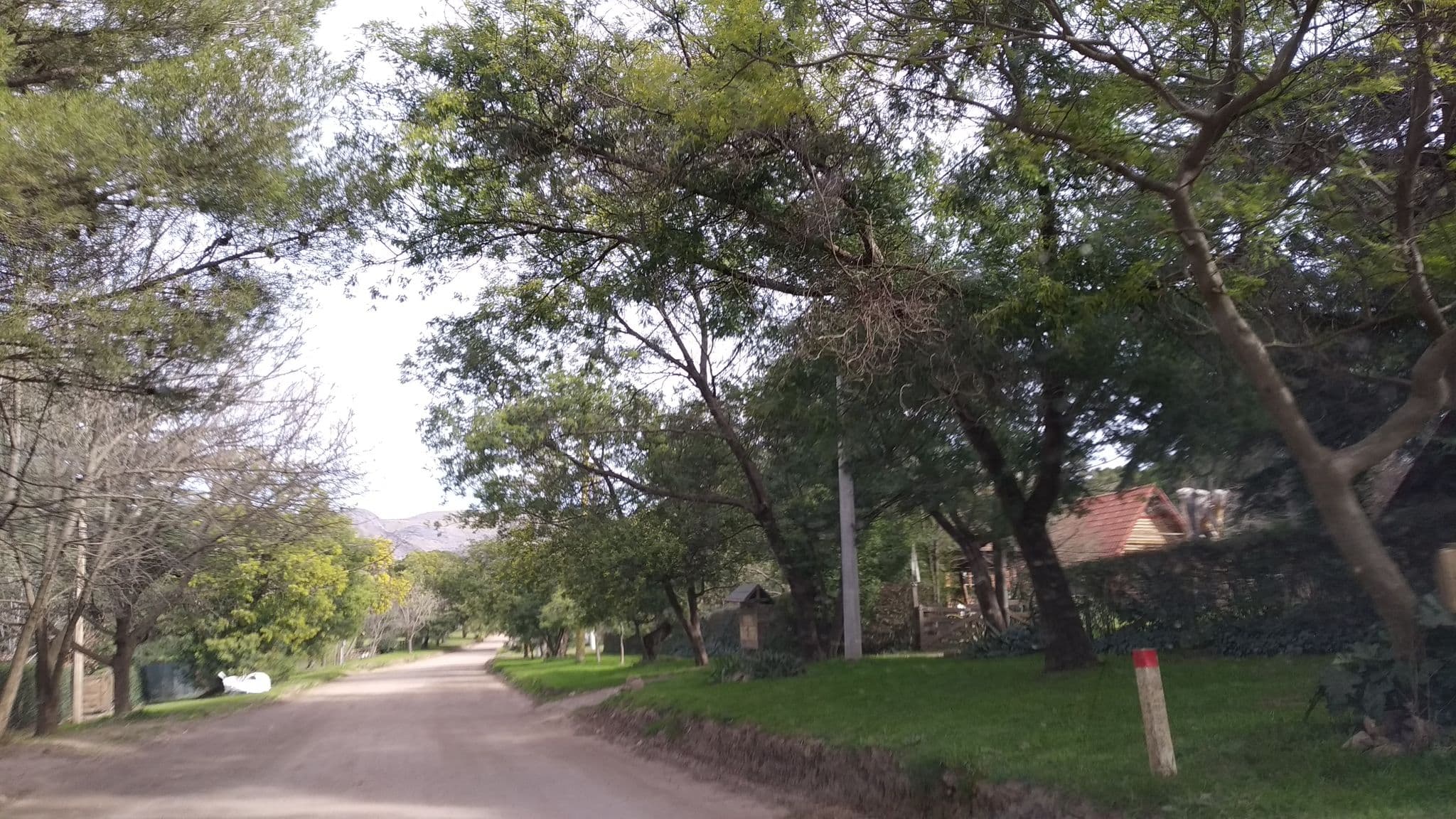 Street view near Ñuke Mapu, Sierra de la Ventana — © nicfer (CC BY-SA · Mapillary)