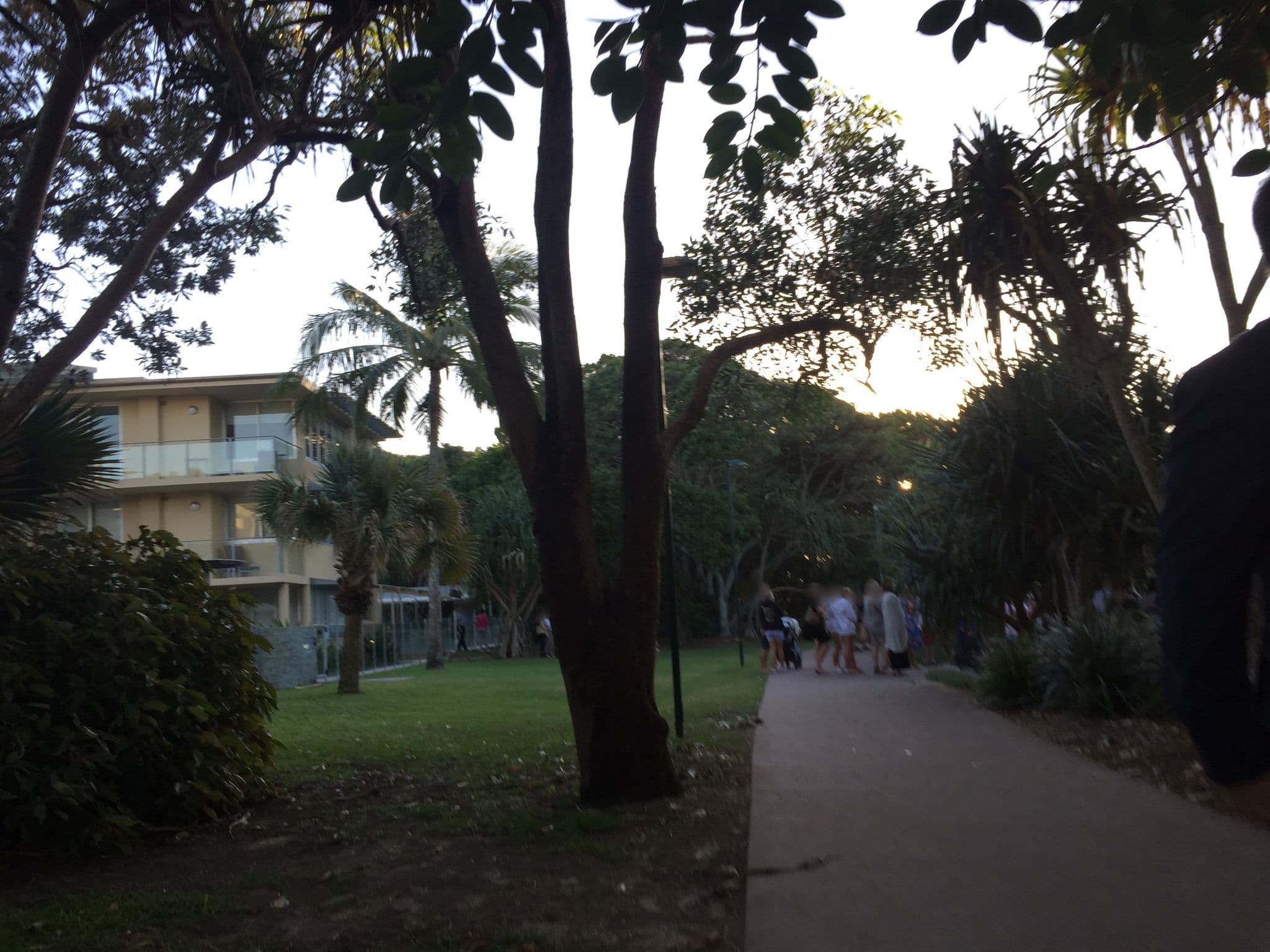 Street view near Maison Noosa, Noosa Heads — © vagrant42 (CC BY-SA · Mapillary)
