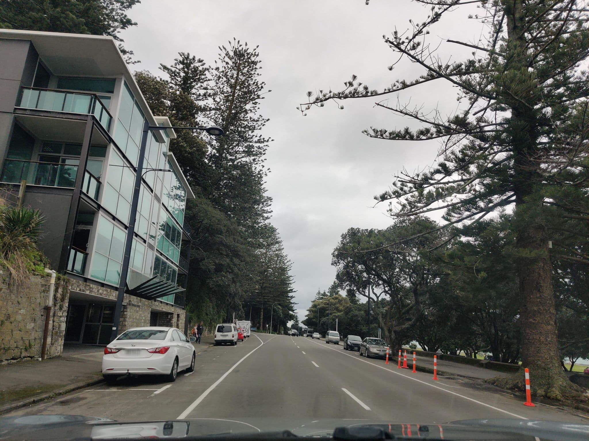 Street view near Cape View, Napier — © elphix (CC BY-SA · Mapillary)